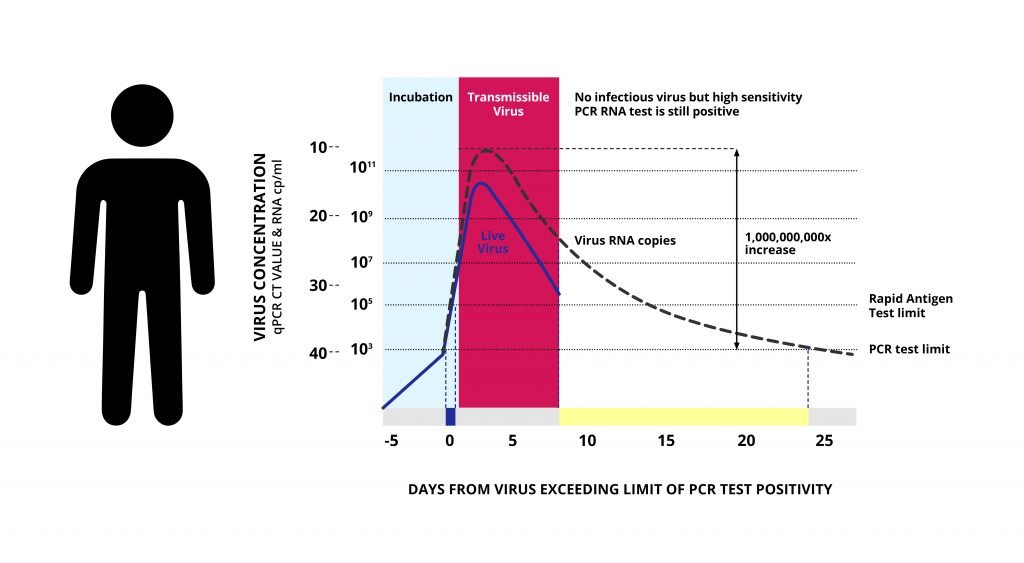 Virus Kinetics